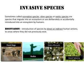 PPT - Invasive Species PowerPoint Presentation, free download - ID:2526328