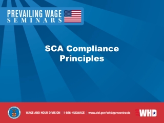 SCA Compliance Principles