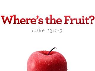 Chapman brought a great deal of fruit to this country. In this morning’s passage, Jesus talks about the need to bring fo