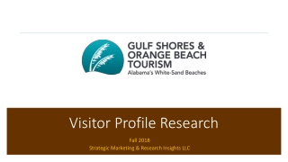 Visitor Profile Research