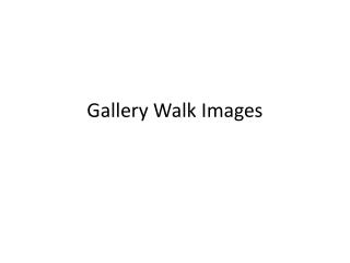 Gallery Walk Images