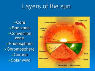 PPT - Layers of the sun PowerPoint Presentation, free download - ID:253550