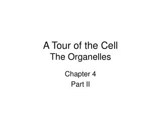 A Tour of the Cell The Organelles