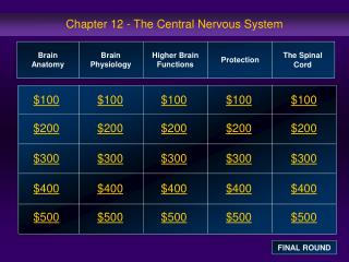 Chapter 12 - The Central Nervous System