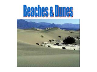 Beaches & Dunes