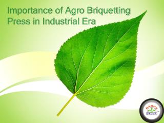 Importance of Agro Briquetting Press in Industrial Era