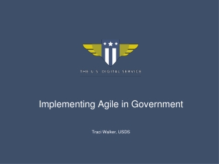 Implementing Agile in Government
