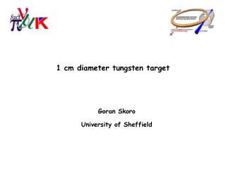 1 cm diameter tungsten target
