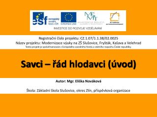 Savci – řád hlodavci (úvod)