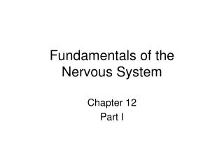 Fundamentals of the Nervous System