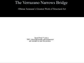 The Verrazano Narrows Bridge
