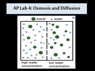 AP Lab 4: Osmosis and Diffusion