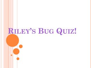 Riley’s Bug Quiz!