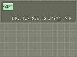 MOLINA ROBLES DAYAN JAIR