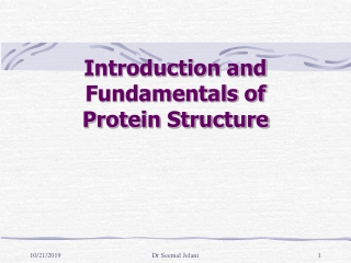 Introduction and Fundamentals of Protein Structure
