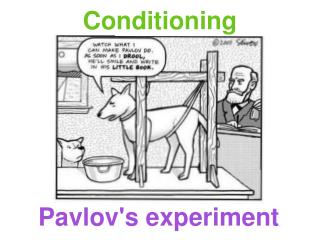 pavlov experiment conclusion