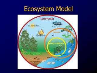 PPT - Ecosystem Model PowerPoint Presentation, free download - ID:2578627