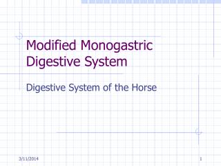 Modified Monogastric Digestive System