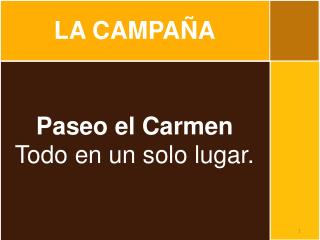Paseo el Carmen Todo en un solo lugar .