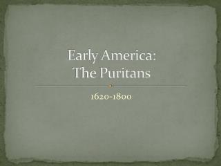 were the puritans calvinists