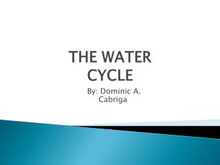 THE WATER CYCLE