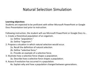 Natural Selection Simulation