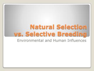 Natural Selection vs. Selective Breeding