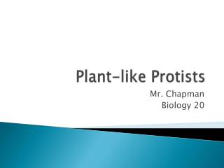 Plant-like Protists