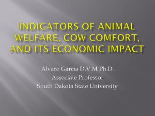 Indicators of animal welfare, cow comfort, and its economic impact