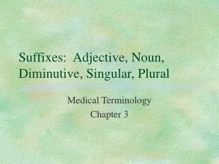 Suffixes: Adjective, Noun, Diminutive, Singular, Plural