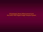The Strainoptics DIAS-1600 Digital Image Analysis System