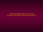 The Strainoptics DIAS-1600 Digital Image Analysis System