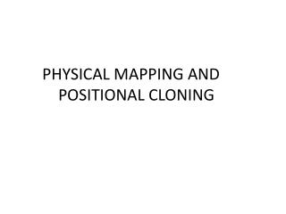 PHYSICAL MAPPING AND POSITIONAL CLONING