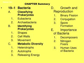 19–1	Bacteria A.	 Classifying 	Prokaryotes 1.	Eubacteria 2.	Archaebacteria B.	 Identifying 	Prokaryotes 1.	Shapes 2.	Cel
