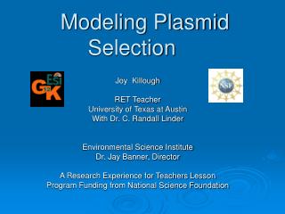 Modeling Plasmid Selection