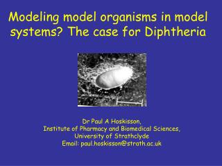 Modeling model organisms in model systems? The case for Diphtheria