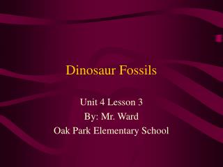 Dinosaur Fossils