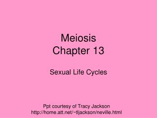 Meiosis Chapter 13