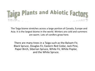Taiga Plants and Abiotic Factors