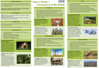 Ecosystems of the Planet