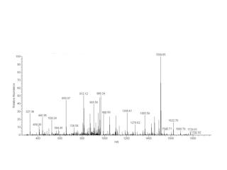 Closeup of the MS1 spectrum of an unlabelled peptide