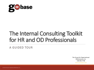 The Internal Consulting Toolkit for HR and OD Professionals