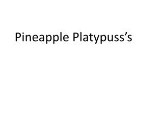 Pineapple Platypuss’s