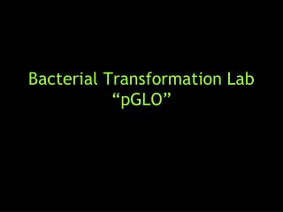 Bacterial Transformation Lab “ pGLO ”
