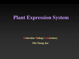 Plant Expression System