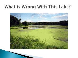 What is Wrong With This Lake?