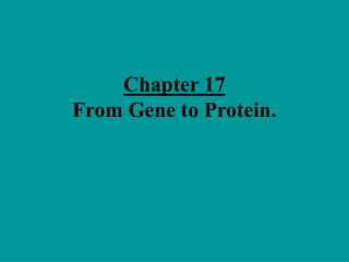 Chapter 17 From Gene to Protein.