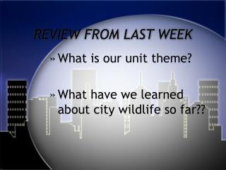 REVIEW FROM LAST WEEK