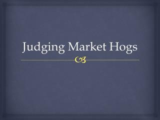 Judging Market Hogs