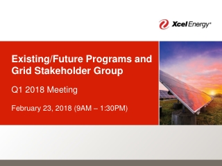 Existing/Future Programs and Grid Stakeholder Group